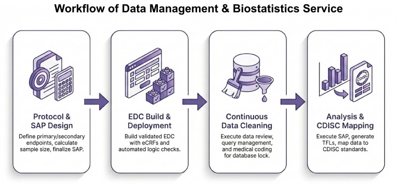 Process of our data management & biostatistics services for weight loss studies. (AI-Protheragen)