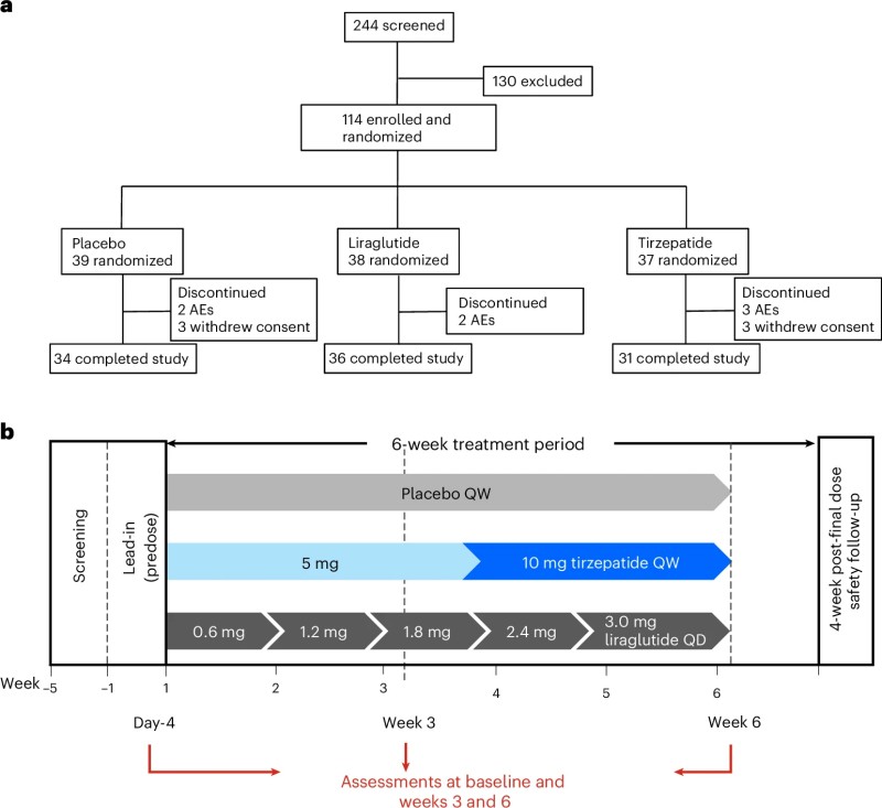 Fig.1 Trial profile and study design of the phase 1 tirzepatide trial showing participant screening, randomization, and completion flow across three treatment groups. (Martin, et al., 2025)