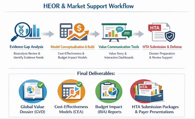 Process and final deliverables of our HEOR & market support service for obesity therapy (AI-Protheragen)