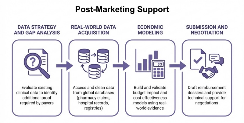 Process of our post-marketing evidence & market access (RWE/HEOR) services for obesity therapy (AI-Protheragen)