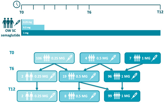 Semaglutide usual dosing and adjustment in the 48-week prospective real-life study. (Caballero-Mateos, et al., 2025)