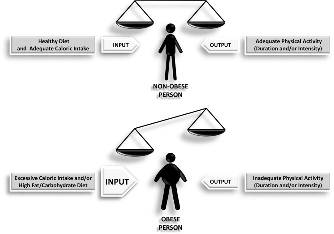 Fig.1 Scheme depicting how the imbalance between the input and the output leads to obesity as an outcome.