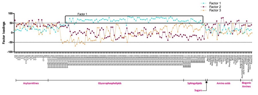 Fig.2 Metabolite patterns.
