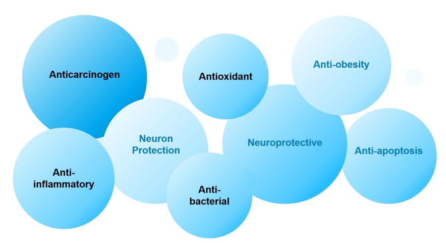 Schematic diagram of compound activity. (Protheragen)