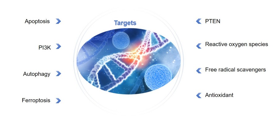 Targets. (Protheragen)