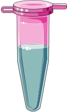 (Source: Bioicons, free)