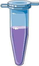 (Source: Bioicons, free)