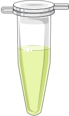 (Source: Bioicons, free)