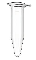 (Source: Bioicons, free)