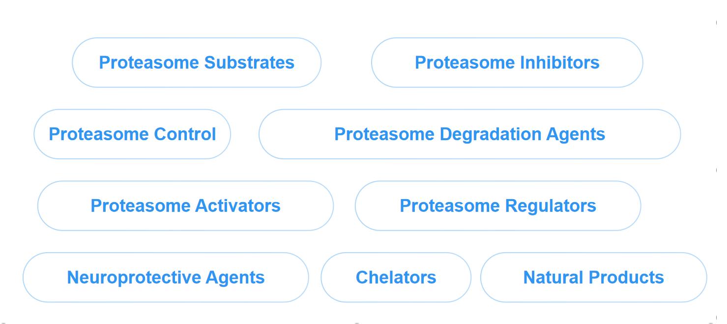 Classes of Proteases/Proteasome. (Protheragen)