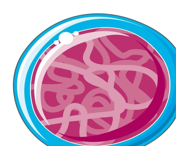 (Source: Bioicons, free)