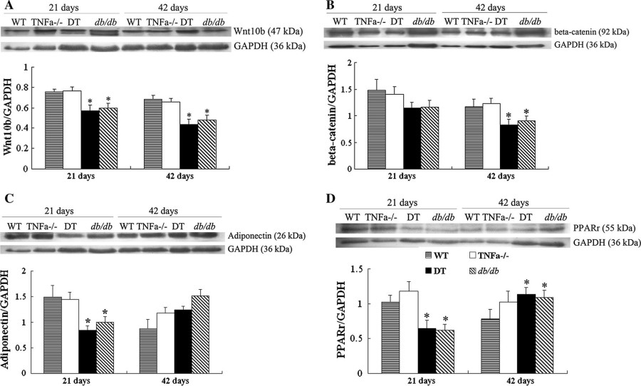 Highlights of our products.(Protheragen)