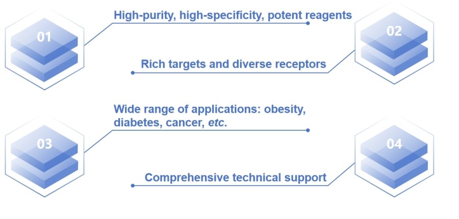 Fig.2 Protein levels of Wnt10b (a), b-catenin (b), adiponectin (c), and PPARc2 (d) in the inguinal fat of the four groups of mice at each age point.