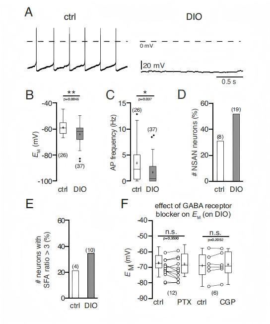 Electrophysiological shifts in arcuate POMC neurons from diet-induced obese mice versus lean controls. (Lars, et al.; 2017)