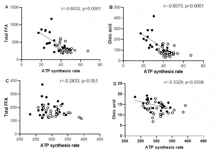 How elevated free fatty acids suppress mitochondrial ATP production in skeletal vs cardiac muscle during obesity development. (Nava-Aguilar, et al.; 2025)