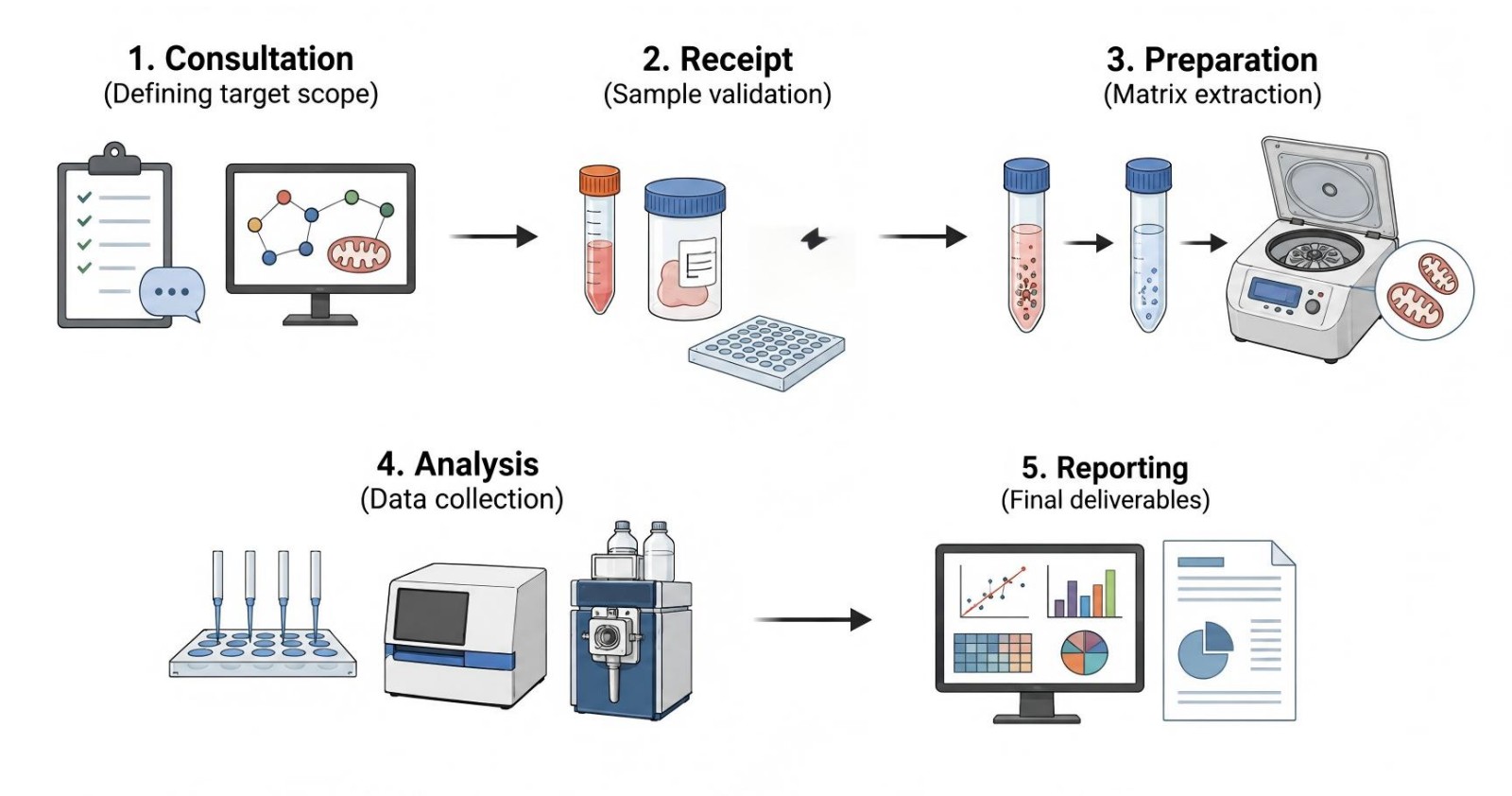 Process of our obesity-related mitochondrial ROS & oxidative stress analysis service (Protheragen).