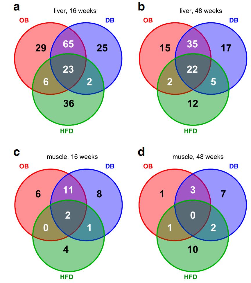 Shared vs unique obesity-driven protein changes in liver and skeletal muscle of obese mice (ob/ob, db/db, high-fat-diet models). (Tang, et al.; 2014)