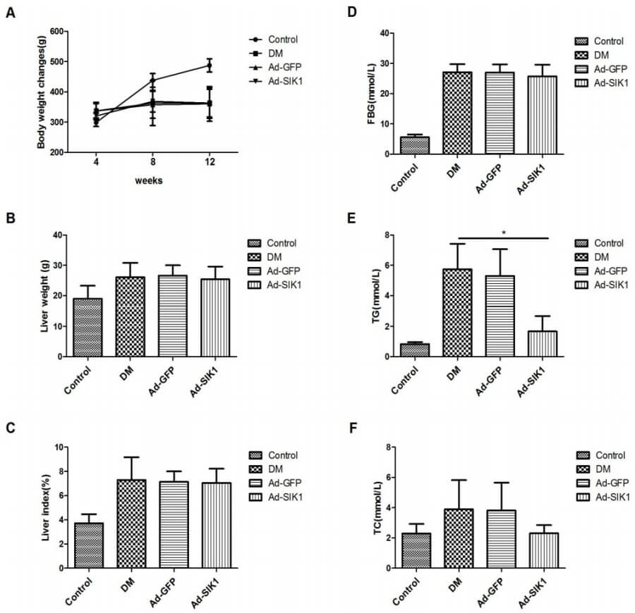 Fig.1 Differences in pathology between treated and untreated rats. (Song, et al., 2019)
