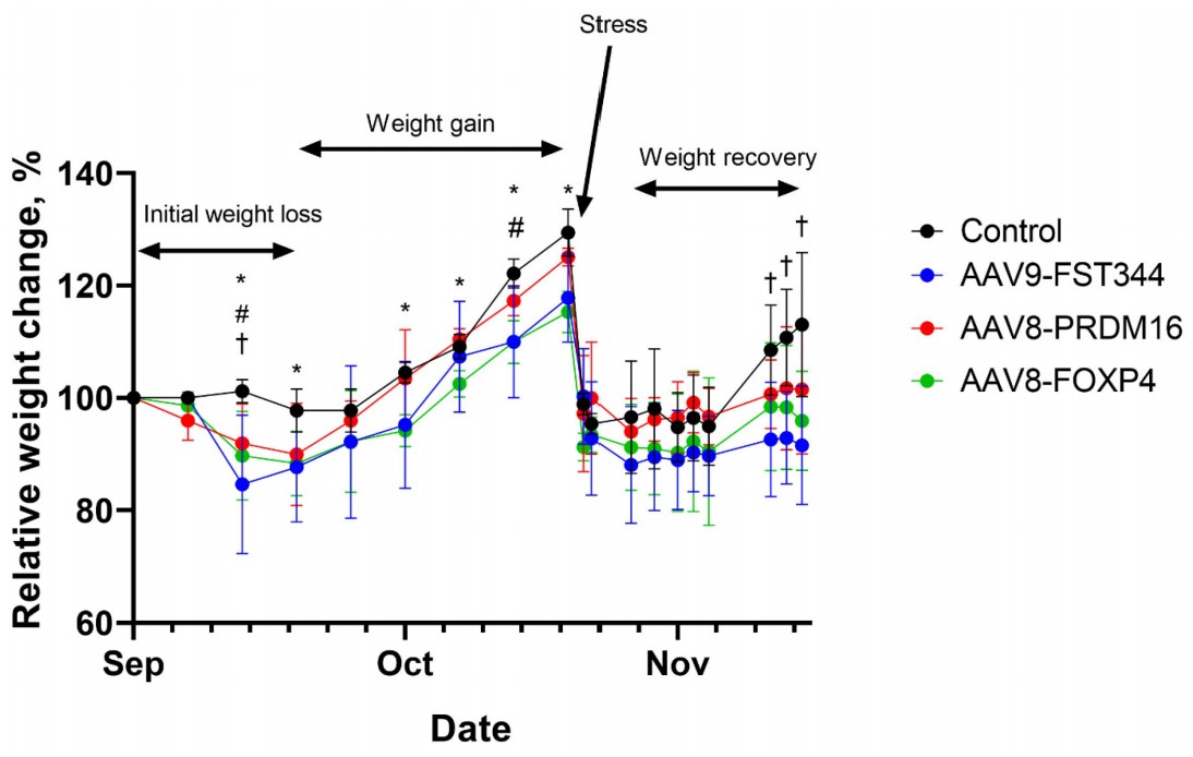 Fig.2 Analysis of weight differences in spiny mice following vector injection. (Yunin, et al., 2024)