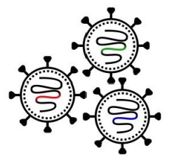 (Source: Bioicons, free)