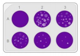 (Source: Bioicons, free)