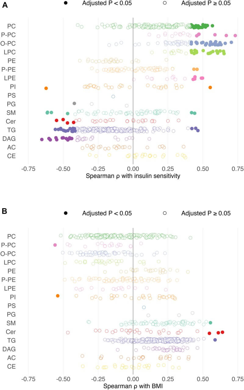 Fig.2 Individual lipids show distinct correlations with insulin sensitivity and BMI. (Petersen, et al., 2025)