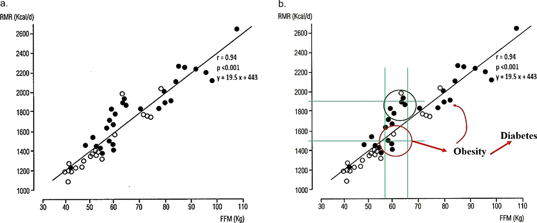 Fig.4 Lower resting metabolic rate relative to fat-free mass predicts higher obesity risk due to reduced energy expenditure. (Buscemi, et al., 2025)