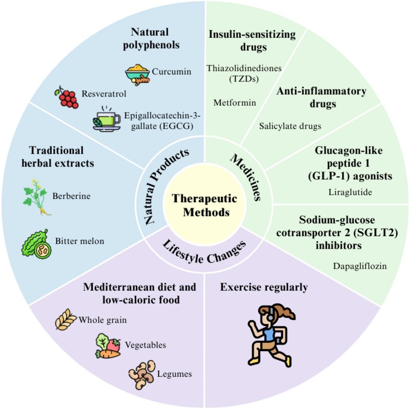 Fig.4 Dietary strategies, medications, and bioactive compounds can help counter obesity associated insulin resistance. (Choo, et al., 2026)