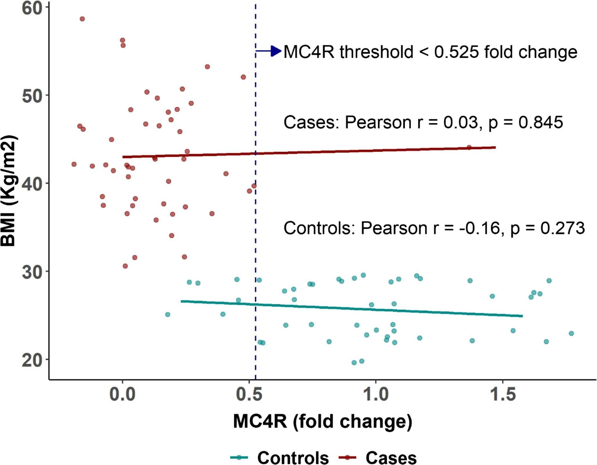 Decoding the Gastric Genetic Signature: Understanding FTO and MC4R Expression in Sleeve Gastrectomy Patients