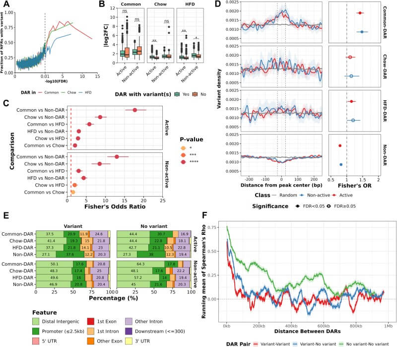 Fig.2 Regulatory chromatin regions with genetic variants show coordinated accessibility changes across nearby sites. (Mononen, et al., 2026)