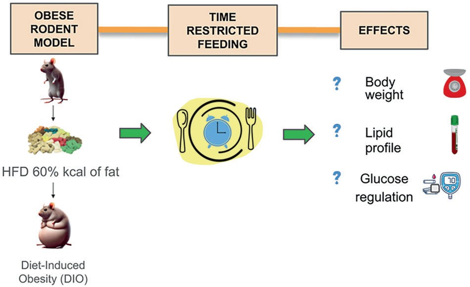Chrono-Metabolism: An Exhaustive Meta-Analysis of Time-Restricted Feeding in Rodent Models