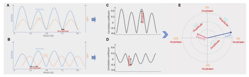 Fig.1 Light exposure and daily activity rhythms were used to assess circadian synchronization patterns. (Zhang, et al., 2026)