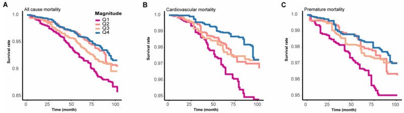 Fig.4 Survival probability increased with stronger circadian rhythm alignment across phasor quartiles. (Zhang, et al., 2026)