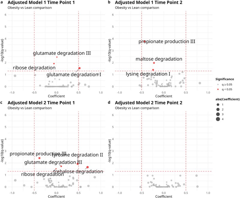 Fig.4 Functional gut metabolic modules vary between obese and lean women. (Patavoukas, et al., 2025)