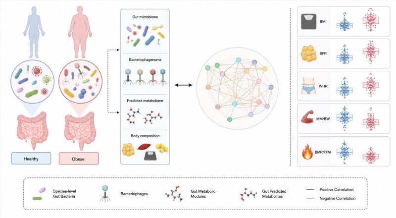 Decoding the Obesity Ecosystem: An Integrated Multi-Omics Perspective on Novel Therapeutic Targets