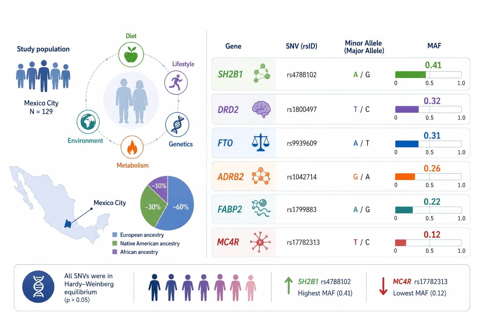 Mapping the Genomic Architecture of Obesity: Frequency Landscape of Six Metabolic Variants in Mexico City