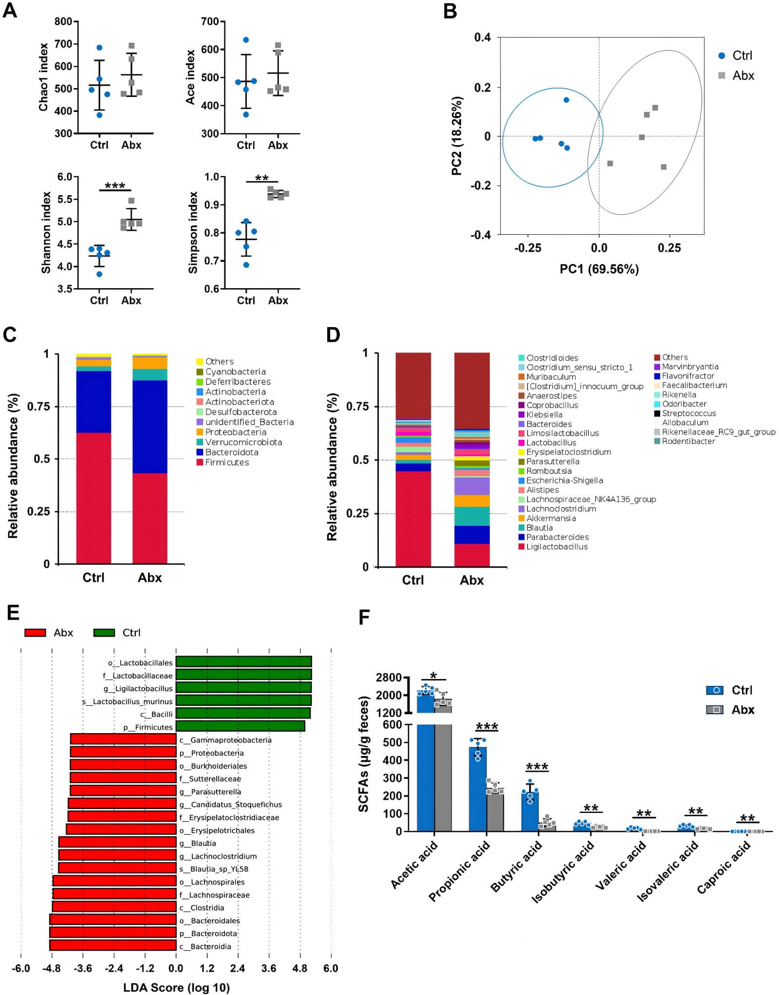 Fig.2 Gut microbiome remodeling and microbial metabolite alterations during early development. (Liang, et al., 2026)