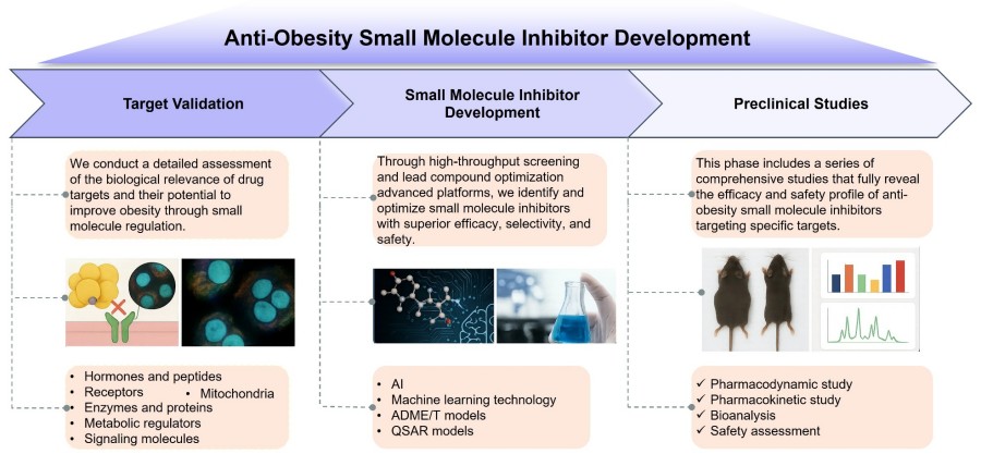Process of our anti-obesity small molecule inhibitor development service. (Protheragen)