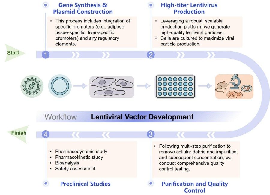 Process of our lentiviral vector development service. (Protheragen)