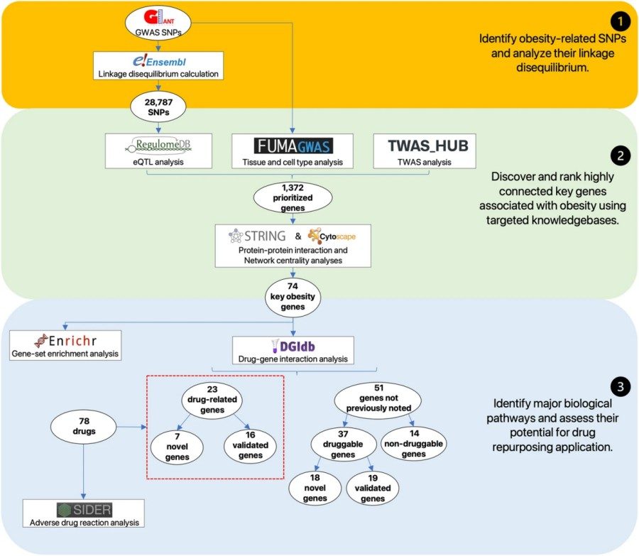 Fig.1 Data integration for screening key obesity genes.