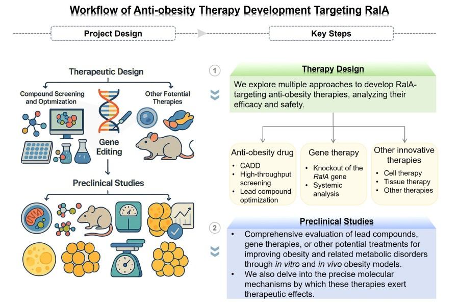 Process of the anti-obesity therapeutic development targeting RalA. (Protheragen)